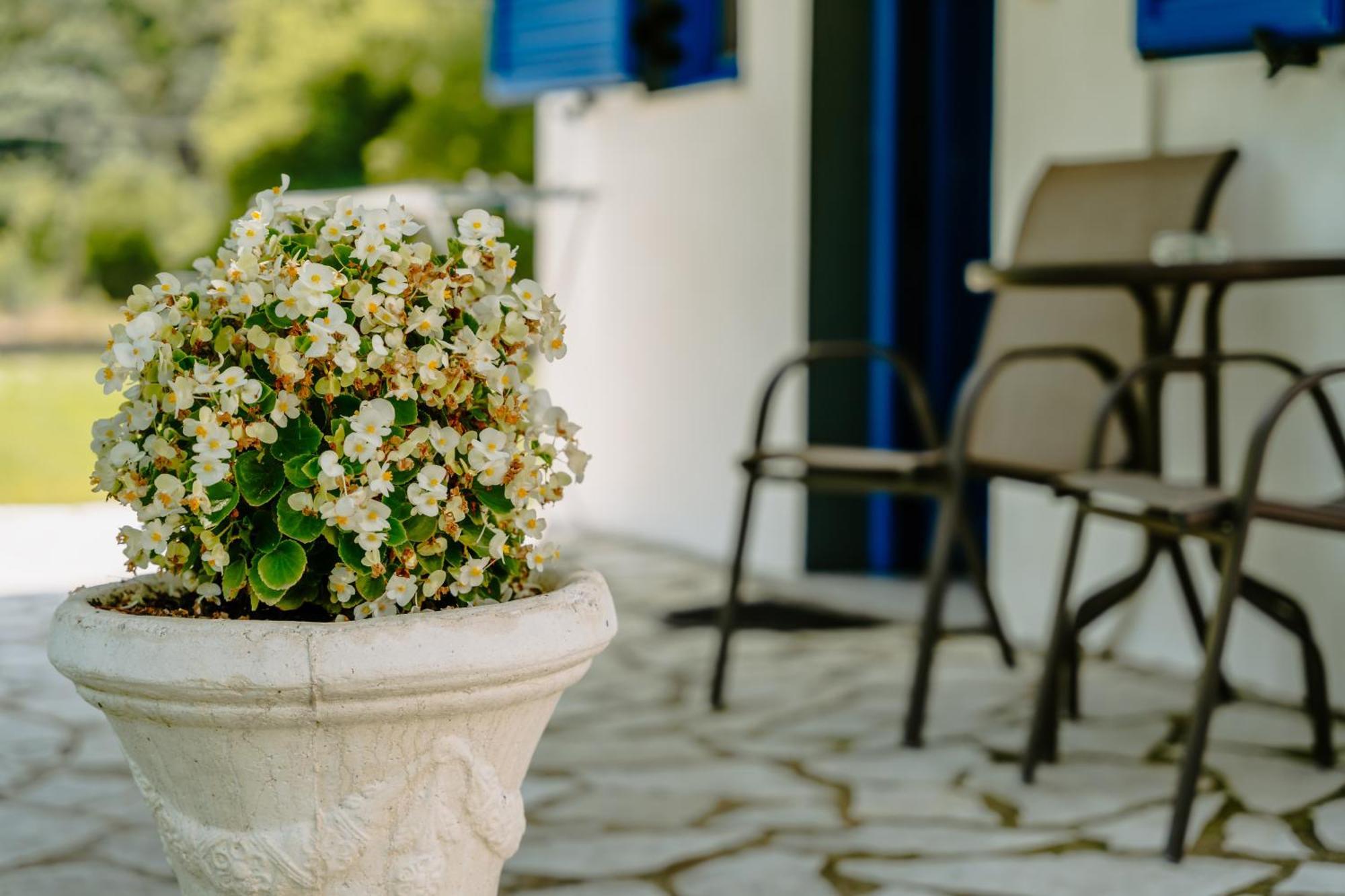 Villa Marina เปร์ดีกา ภายนอก รูปภาพ